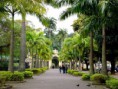 /album/sugest%c3%b5es-de-viagens/zoo-jpg/